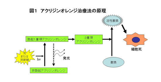 図1