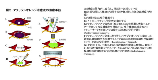 図2