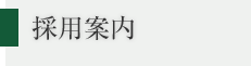 採用案内