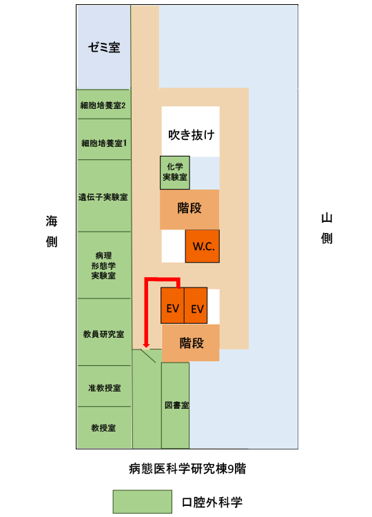 病態医科学研究棟9階内案内図