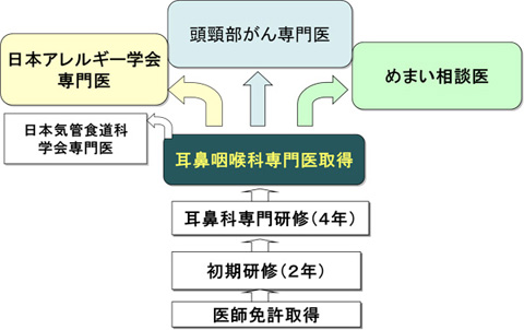 豊富な専門医とサブスペシャリティ